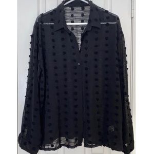Button Up Long Sleeve Black Semi Sheer Top